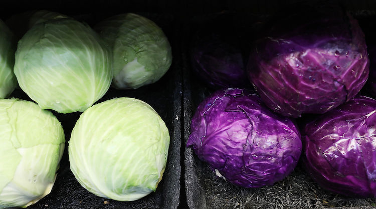 20181206_Grocery_YK_182_w.jpg